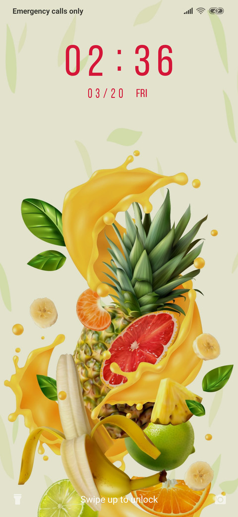 Fruit Lover_3MDP screenshot