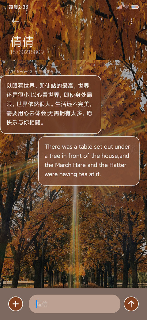 丁达尔光 秋日枫叶 screenshot