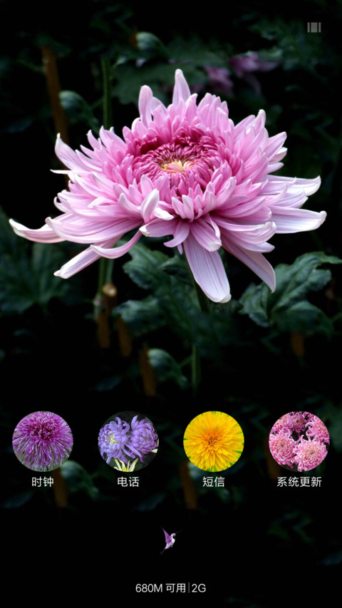 菊花（动态锁屏特效+动态桌面特效） screenshot