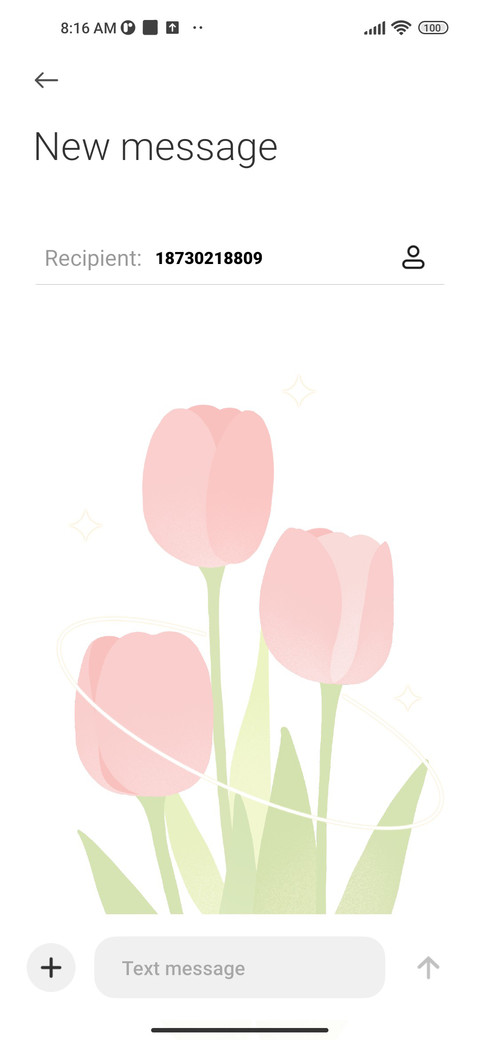 Pink Tulips screenshot