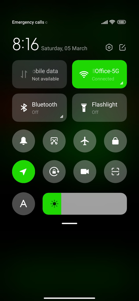 Green Rose screenshot