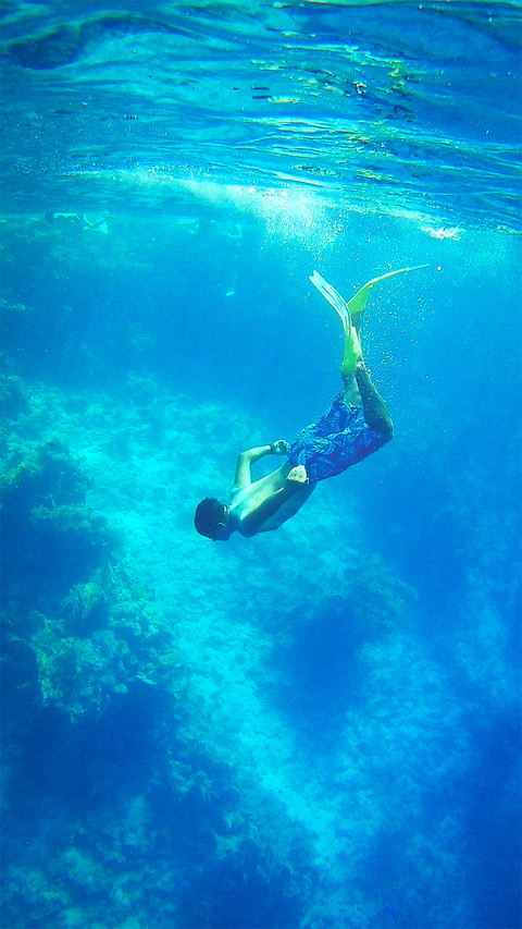 Free dive-03 screenshot