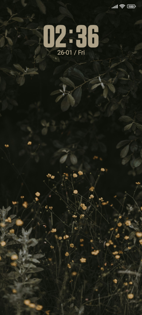 Shift Lens screenshot
