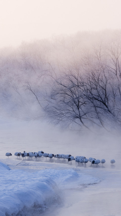 Winter fog makes people love and hate 87 screenshot
