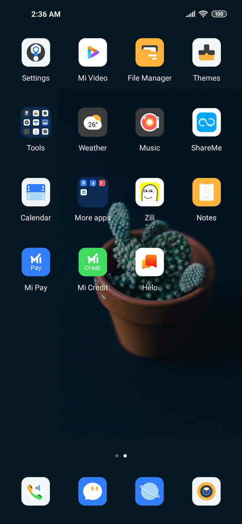 cactus screenshot