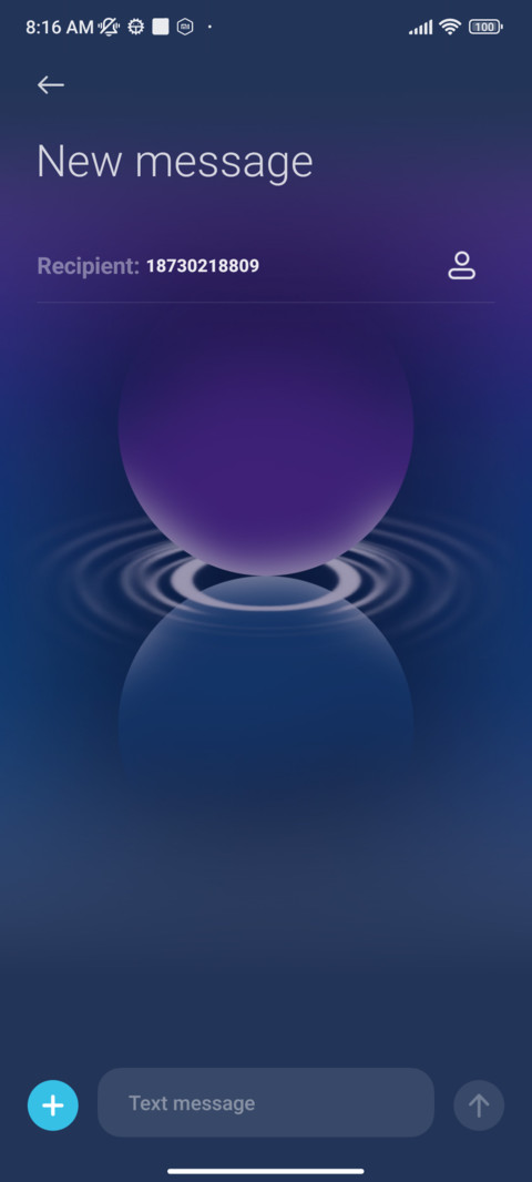Violet Echo screenshot