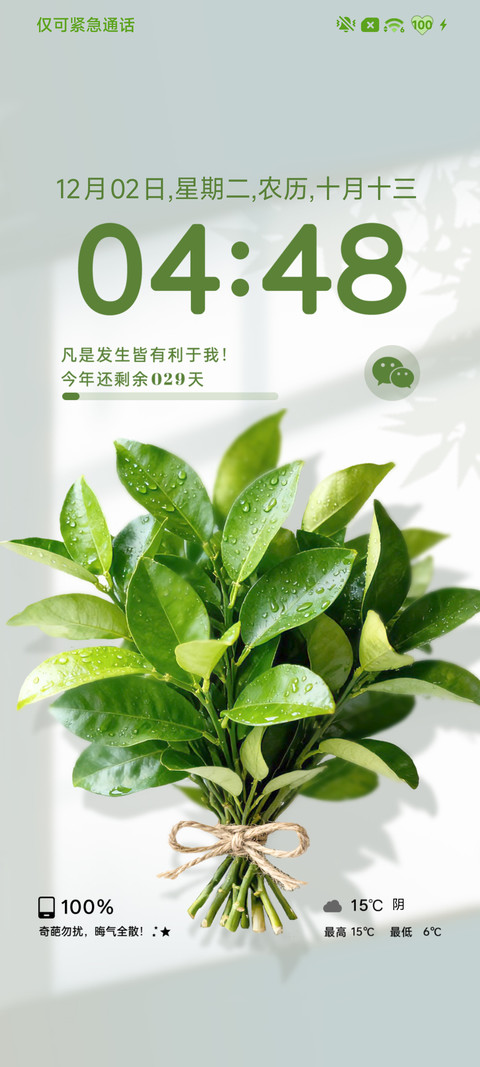 柚子叶壁纸 screenshot