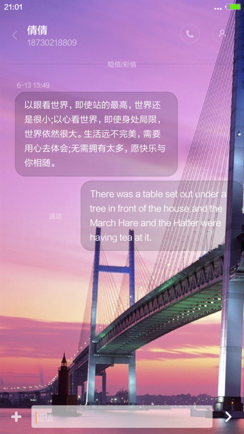 Lome桥（密码0000） screenshot