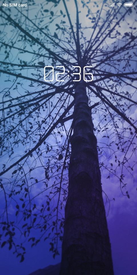 looking up_DWM2 screenshot
