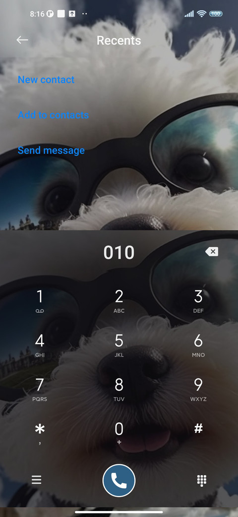 Puppy is an pilot screenshot