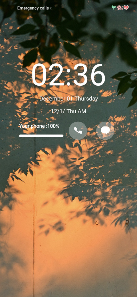 shadow screenshot