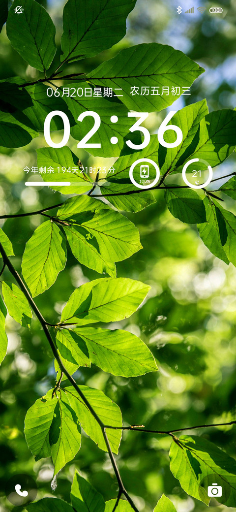 夏日绿荫 screenshot