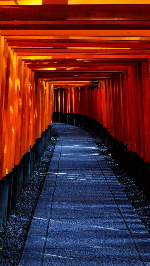 鸟居步道 screenshot