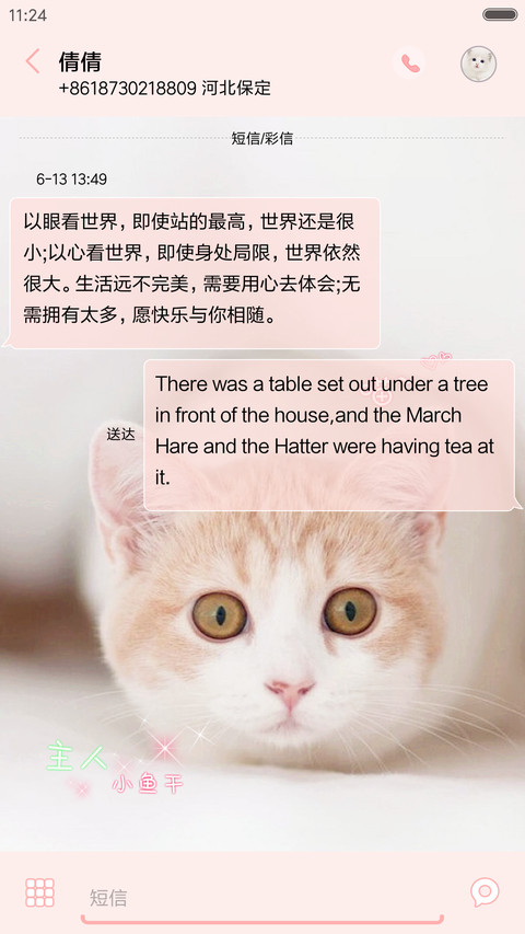 萌猫来袭 screenshot