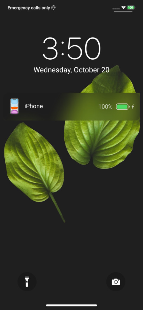 iOS 14 Beta screenshot