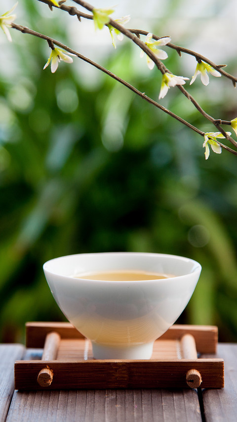 春雨煎茶 screenshot