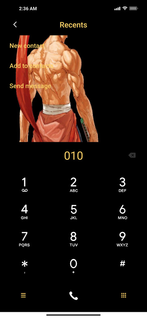 P-Samurai v12.5 screenshot