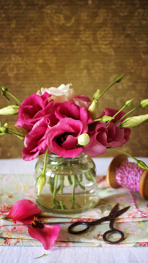 Flowers that Lazy People Must Grow 1 screenshot