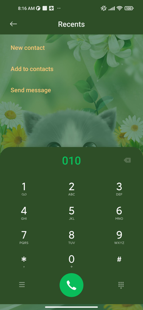 Duofu+Meow+dyna screenshot