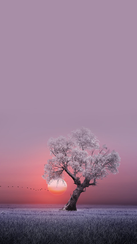 自然的色彩 screenshot