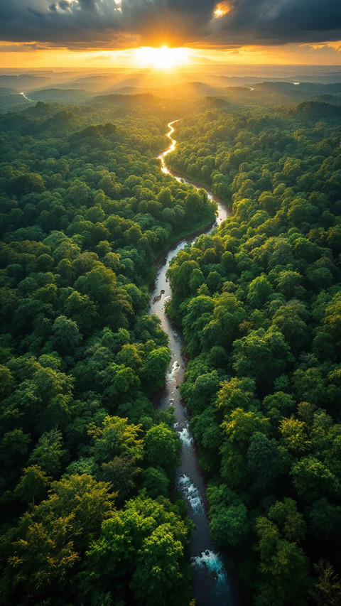 Nature screenshot