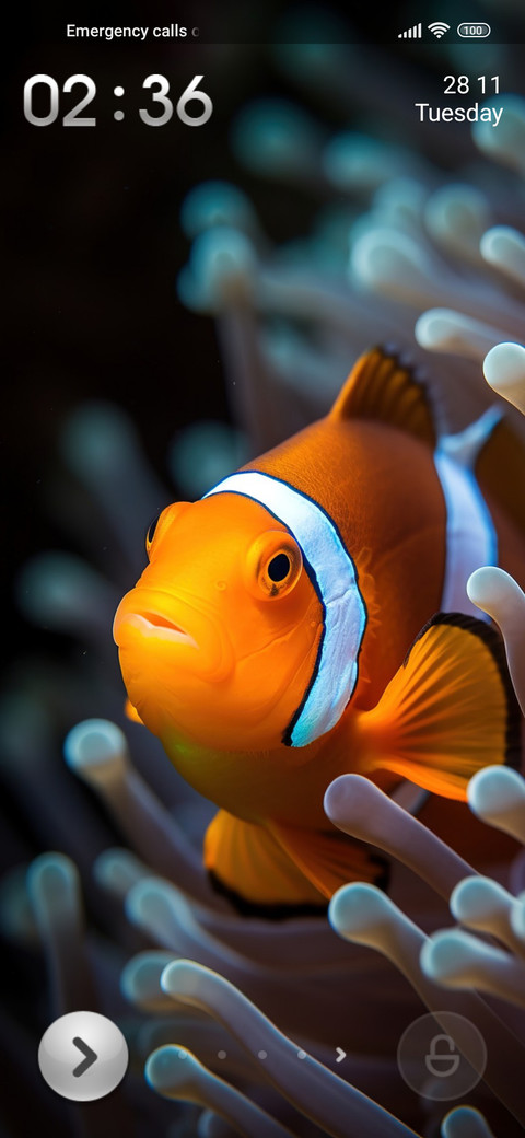 water clownfish screenshot