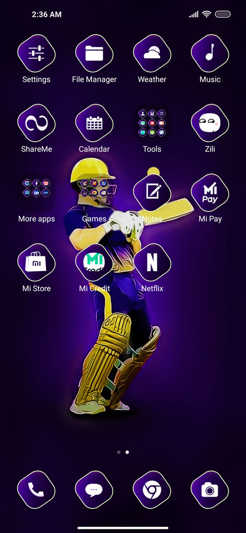Cricket Op screenshot