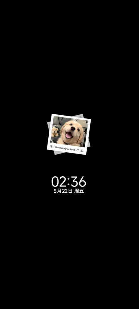 3D重感小金毛 多图 screenshot