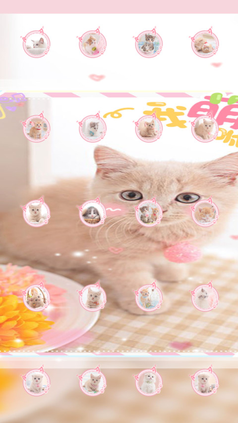 快乐小萌猫 screenshot