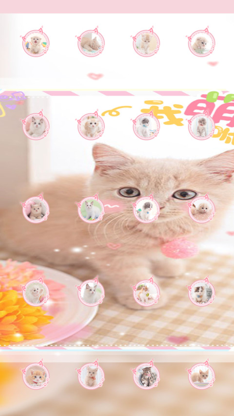 快乐小萌猫 screenshot