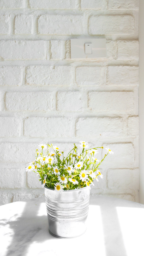 Flower Pot with Daisy By the Window with White Brick Wall screenshot