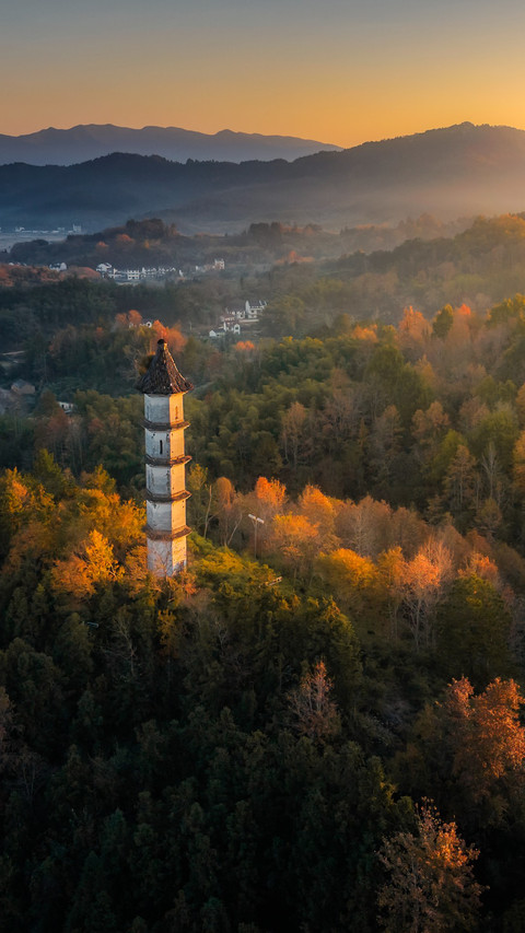 Radiant like pine cones screenshot