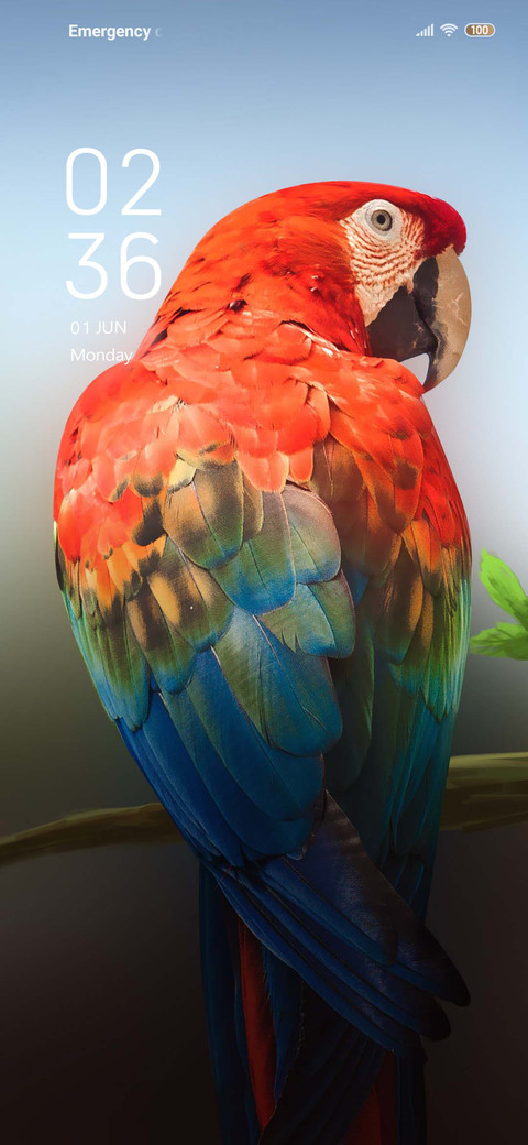 Magpie hunting screenshot