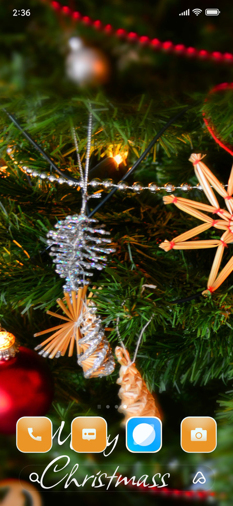 Delite Christmass screenshot