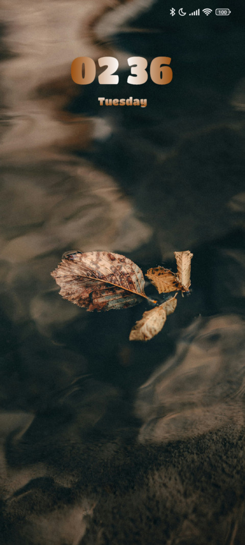 Pond screenshot