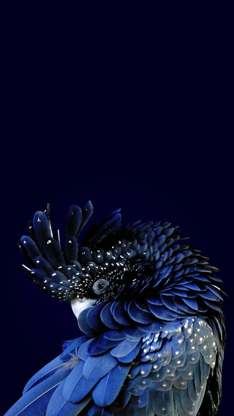VCG41481003725 screenshot