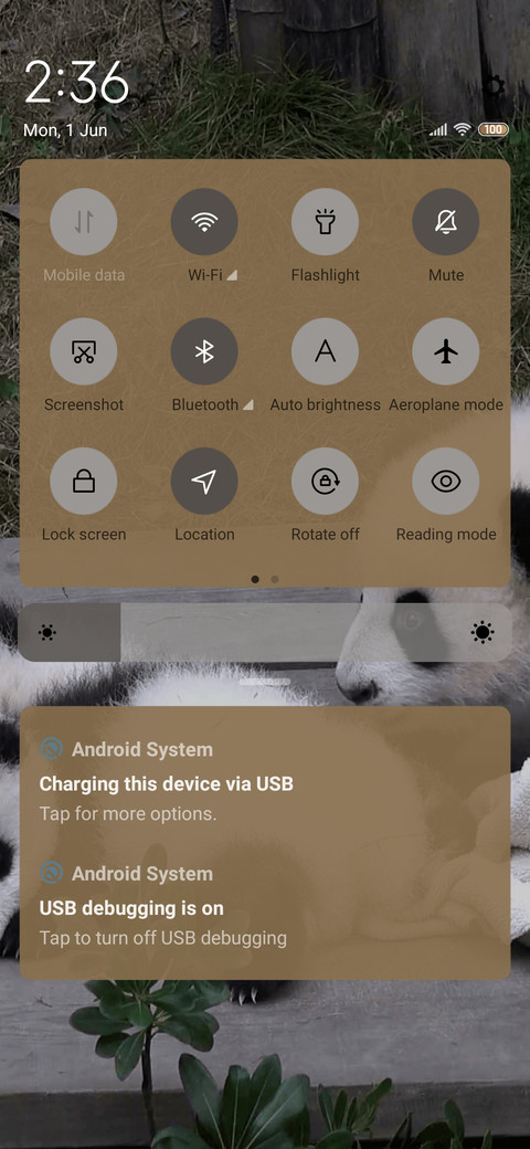 panda screenshot