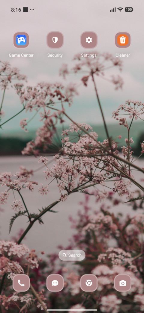 Flower screenshot