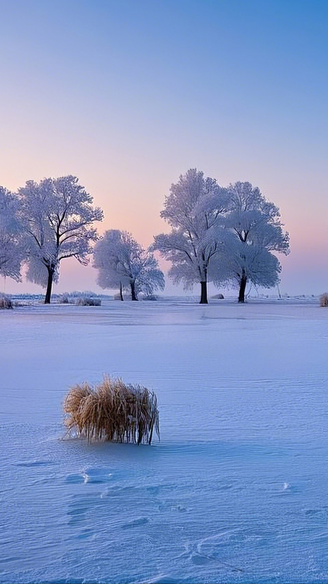 Jilin Landscape Painting Exhibition screenshot