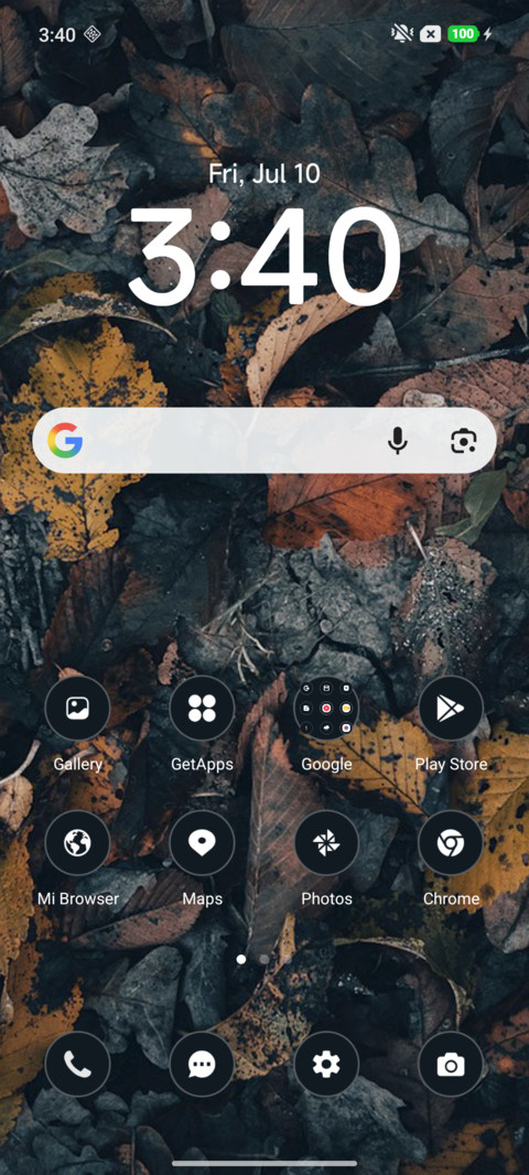 Dry Leaf screenshot