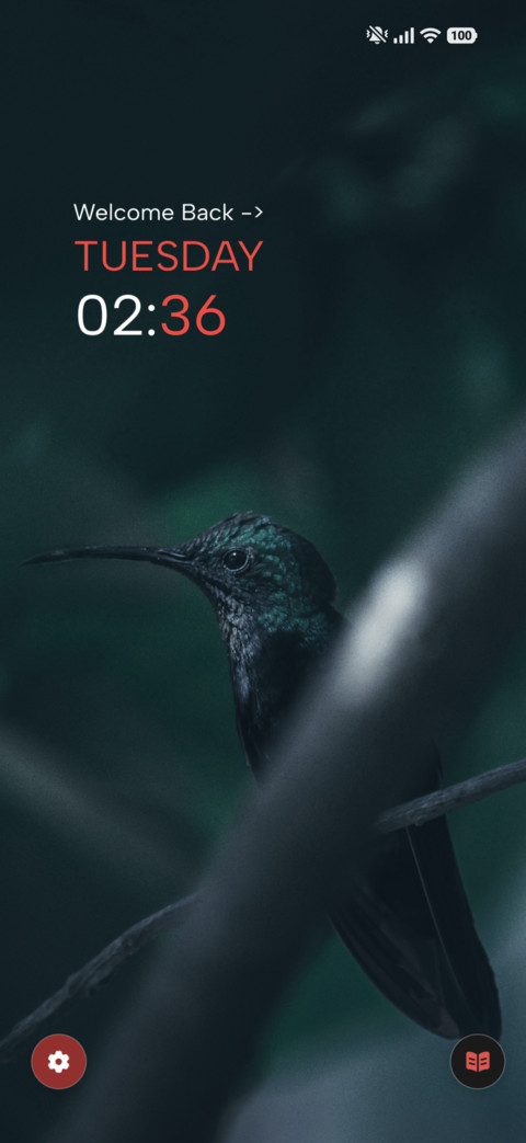 Dark Finch screenshot