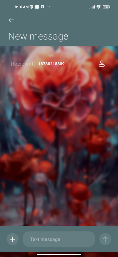 Burning Flowers screenshot
