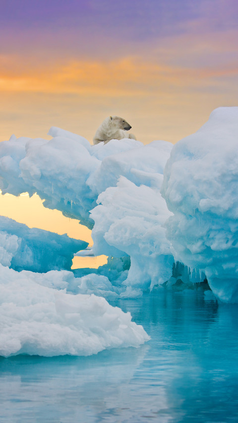 Arctic Temperature Soars to a New High 4 screenshot