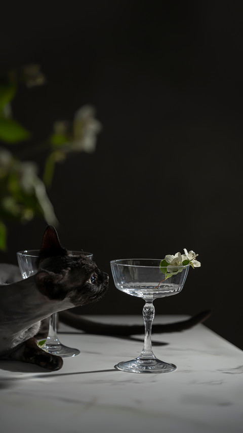 Beautiful Empty Glasses on High Leg screenshot