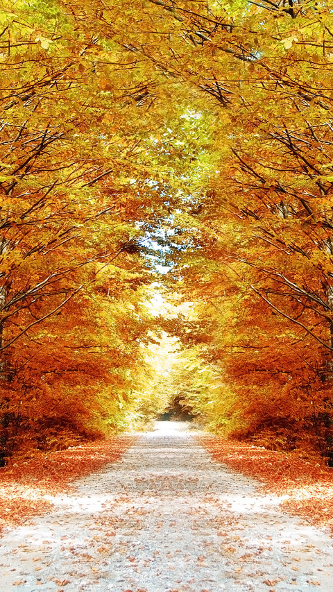 Autumn style screenshot