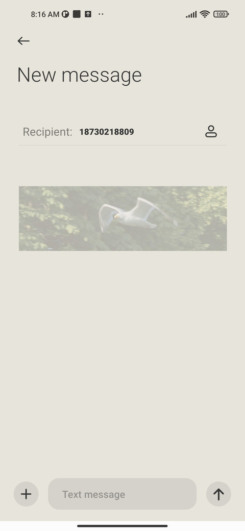 Summer letter screenshot