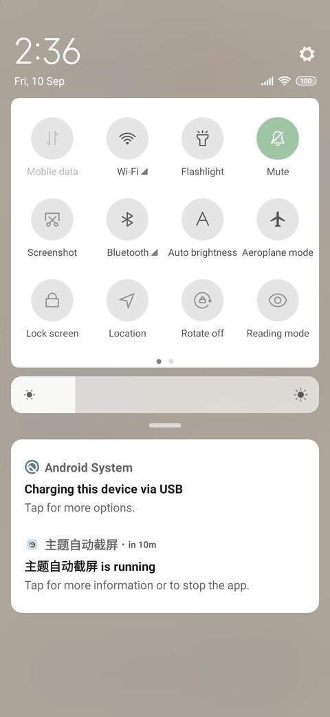 Brown bear screenshot