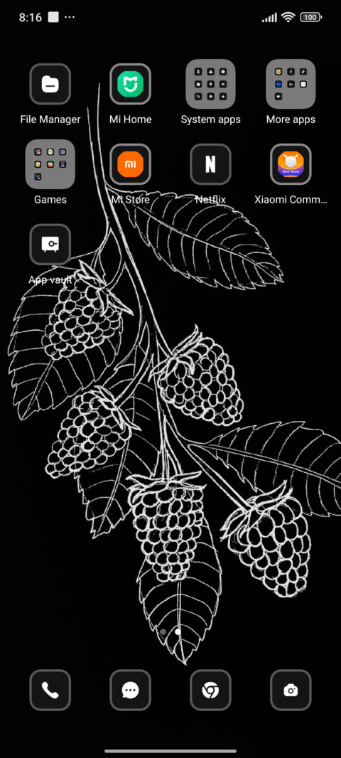 Black Strawberry screenshot