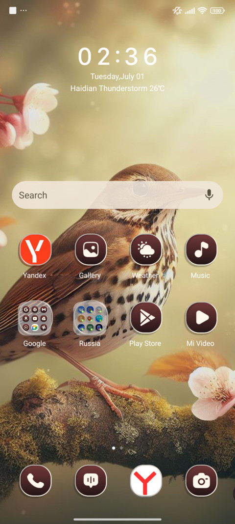 Song Thrush screenshot