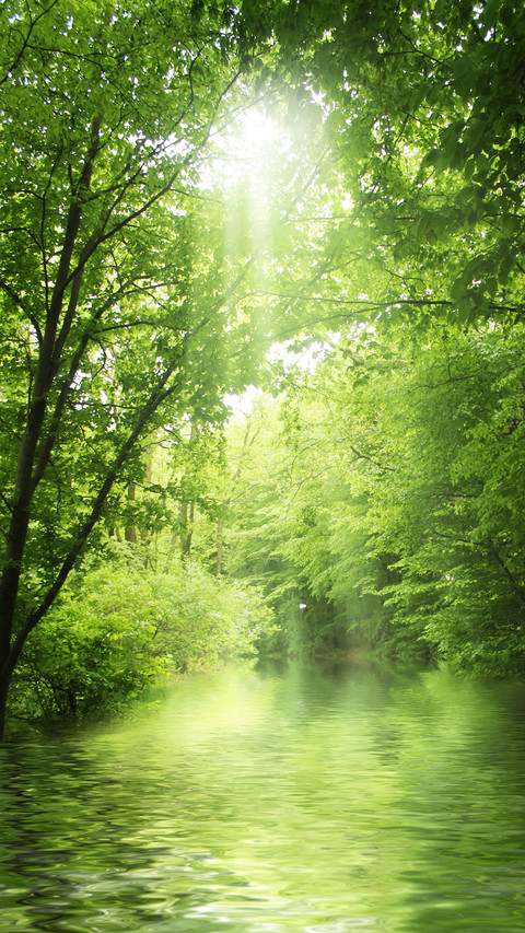 Natural rivers screenshot